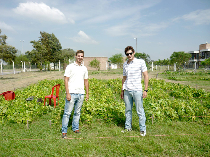 Experiencia en fertilizantes orgánicos