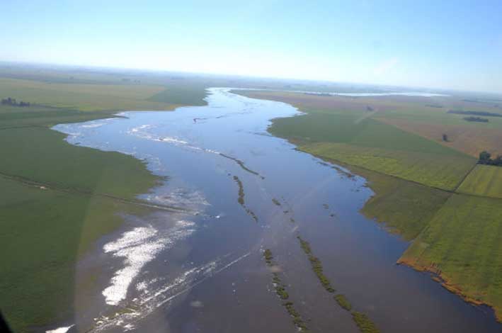 Alerta amarilla