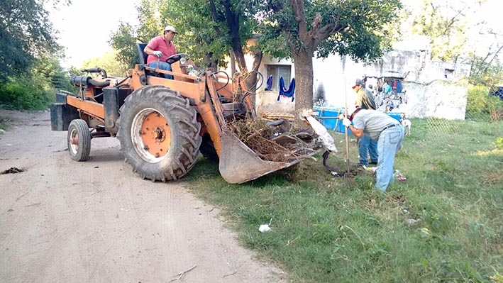 En campaña contra el dengue