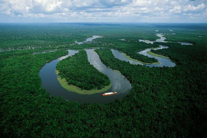 Allá, en el Amazonas