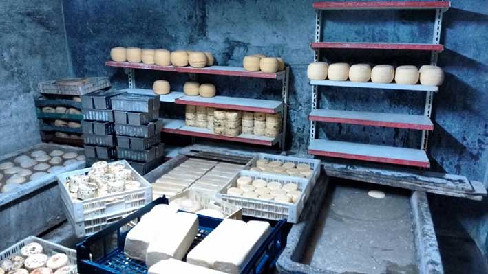 Decomisan 1.800 kilos de queso en una industria cordobesa