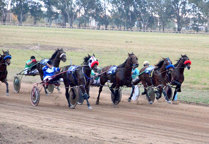 El Hipódromo recibe a los sulkies