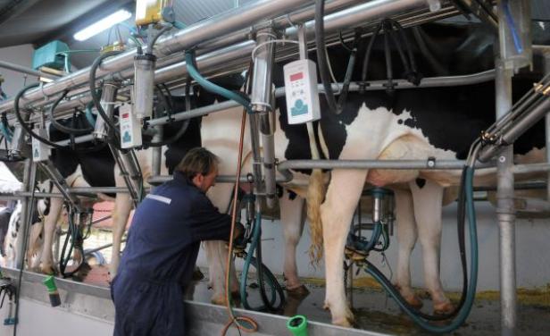 En mayo se produjo un 16,7% menos de leche