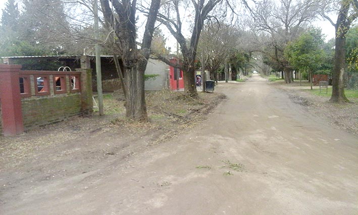 Realizan poda en seis barrios