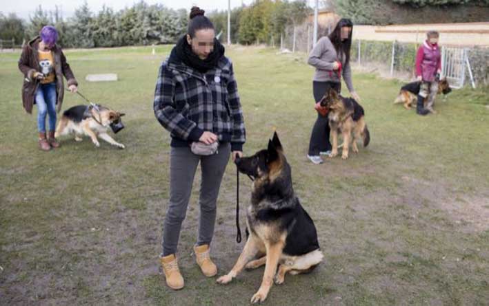 Contra el maltrato humano