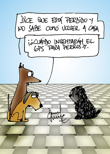 Humor perruno