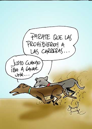 Humor 21/11/2016