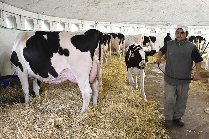 Una muestra variada que pretende llevar “el campo a la ciudad”