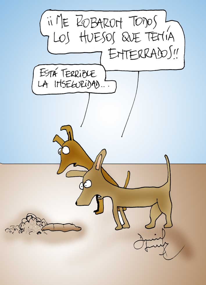 Humor perros y gatos