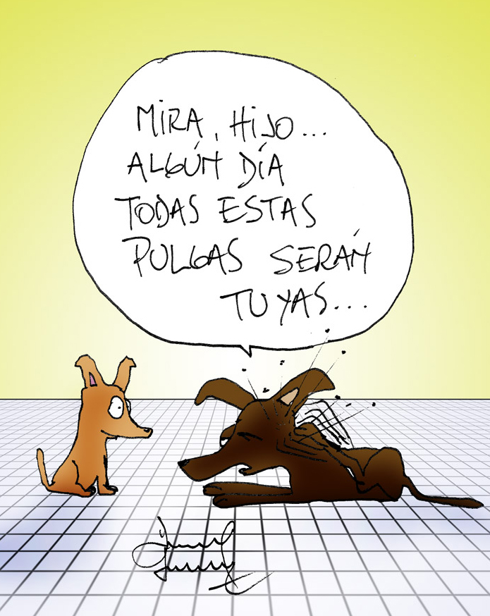 Humor perruno