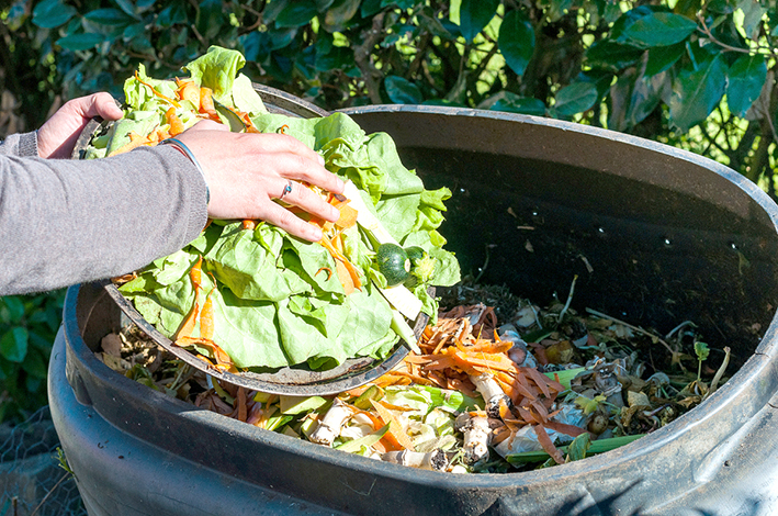 Presentan proyecto para evitar que alimentos sean desechados